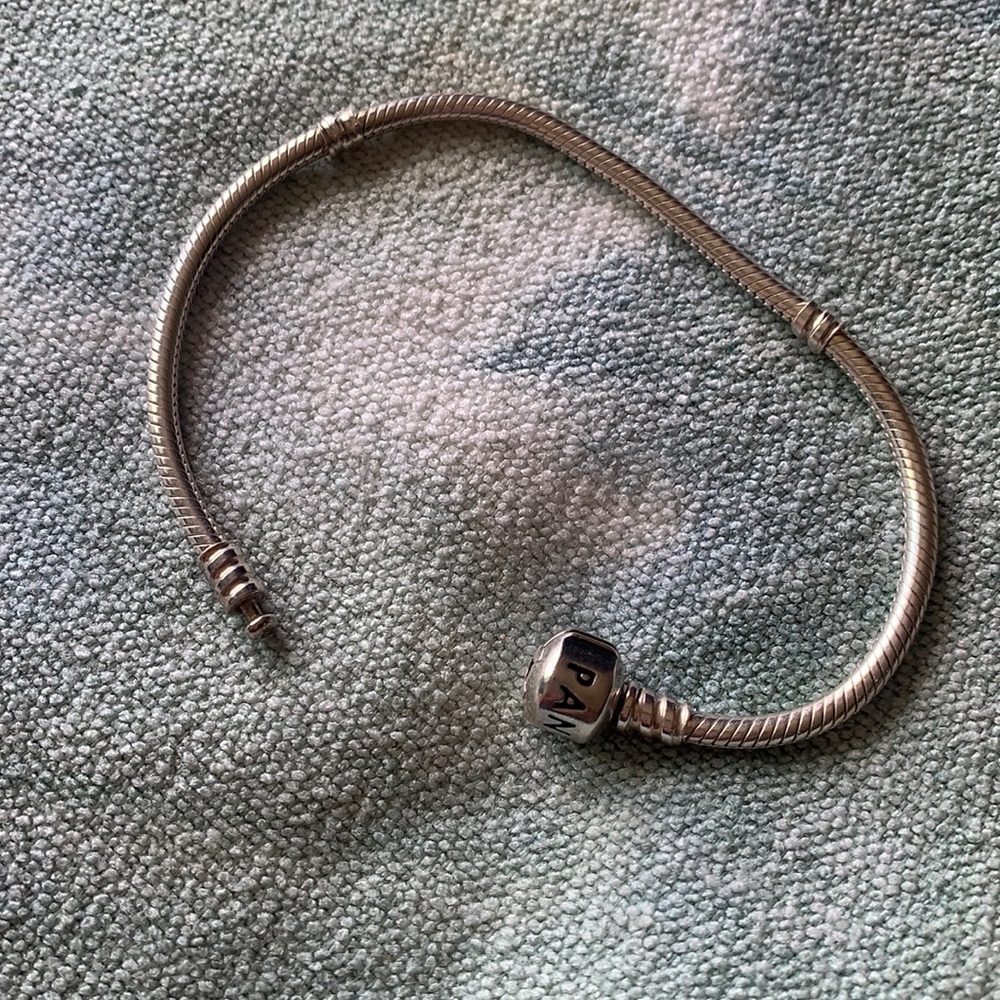 Moments Snake Chain Bracelet